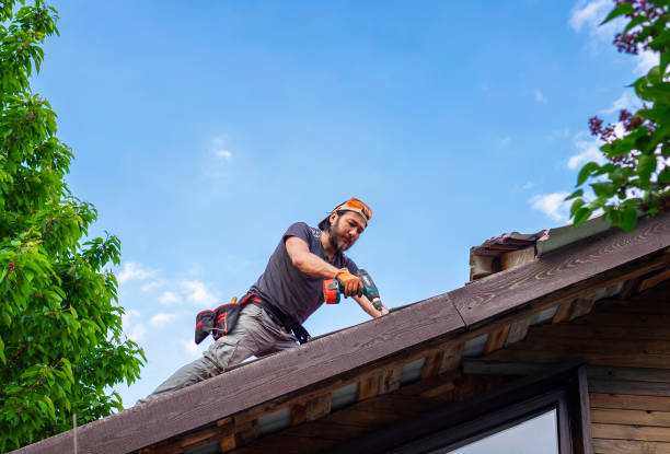 Best Asphalt Shingle Roofing  in Billings, MT