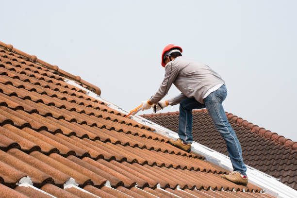 Best Roof Moss and Algae Removal  in Billings, MT